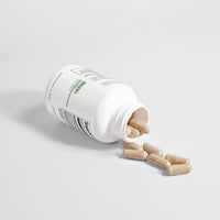Maca Plus