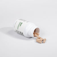 Organic Cordyceps Mushroom